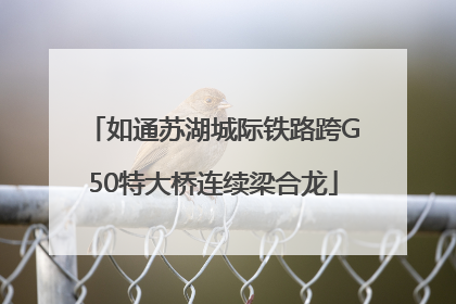 如通苏湖城际铁路跨G50特大桥连续梁合龙